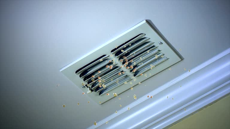 Best Best Air Duct Cleaning Company  in Milton, WI